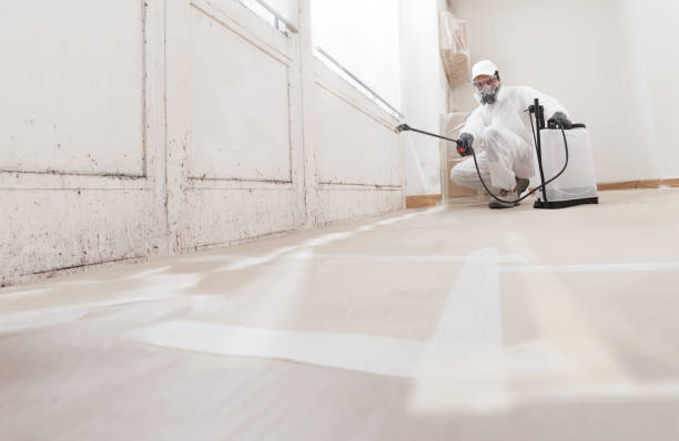 24/7 Emergency Attic Mold Remediation experts in Church Hill, TN