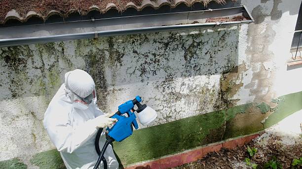Top rated local Attic Mold Remediation specialists in Church Hill, TN